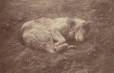 (Schlafender Hund) von Théodule Devéria